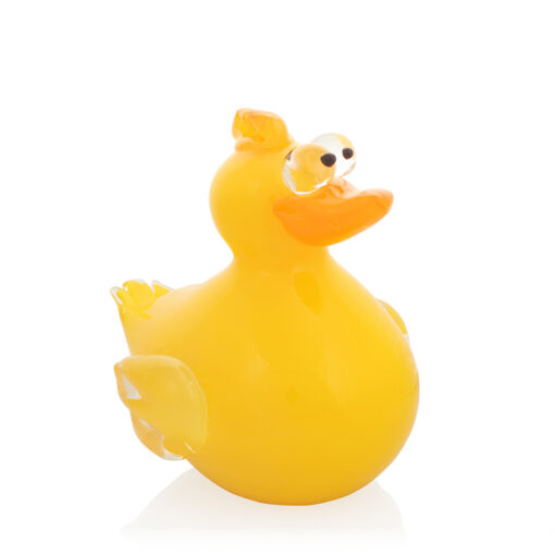 Duck - Image 10